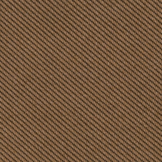 Picture of Philadelphia Commercial by Shaw - Traverse Mesa Brown