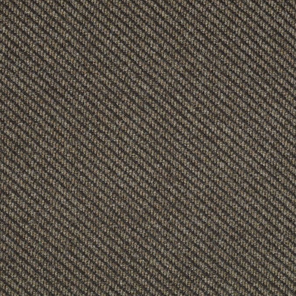 Picture of Philadelphia Commercial by Shaw - Traverse Neutral Ground