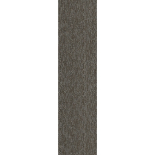 Picture of Pentz - Cabled Plank Session