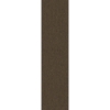 Picture of Pentz - Colorpoint Plank Hickory