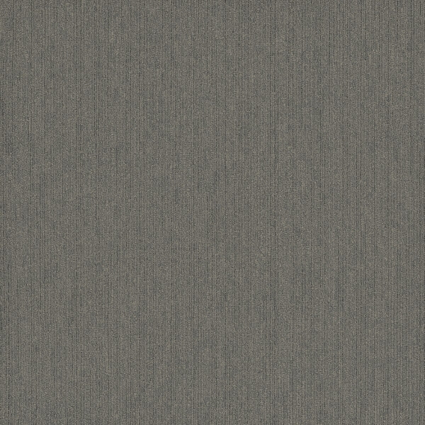 Picture of Pentz - Colorpoint Tile Fossil