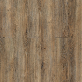 Picture of Pentz - Avenue Bay of Plenty