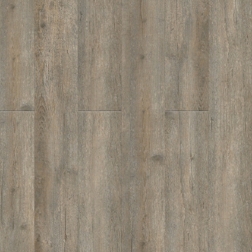 Picture of Pentz - Avenue Playa