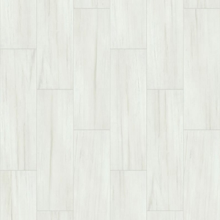 Picture of Shaw Floors - Casino 12 x 24 Matte Bianco