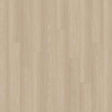 Picture of EarthWerks - Chassis Pro Plus Clutch