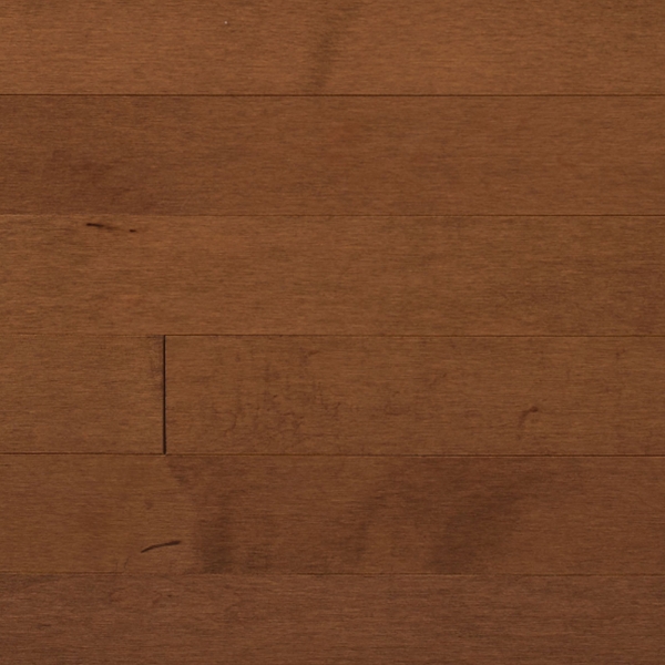 Picture of Appalachian Flooring - Signature Solid 4 1/4 Matte Treebark Hard Maple Excel