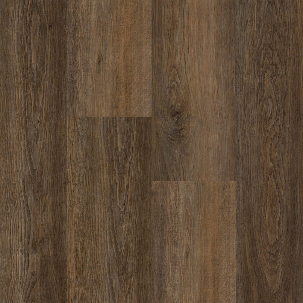 Picture of Happy Feet Intl. - Mustang Autumn