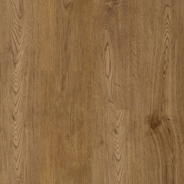 Picture of Happy Feet Intl. - Mustang Honey