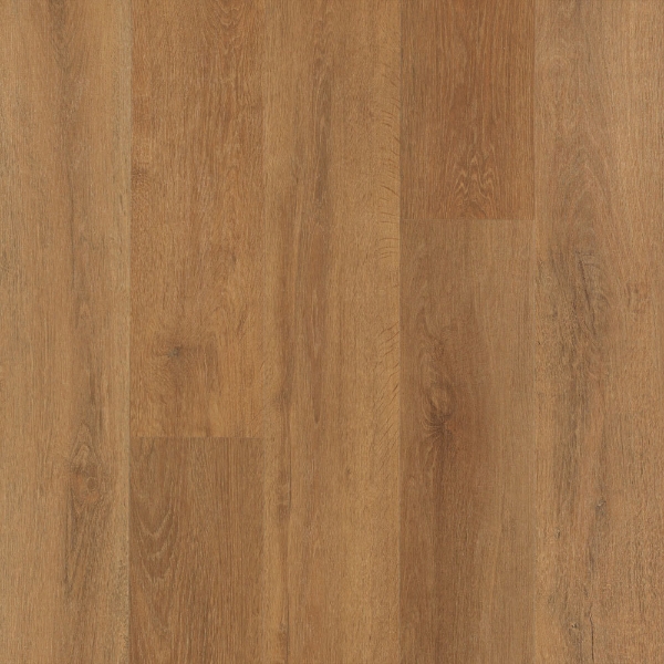 Picture of Mohawk - SolidTech Select Explorers Cove Stormy Sands