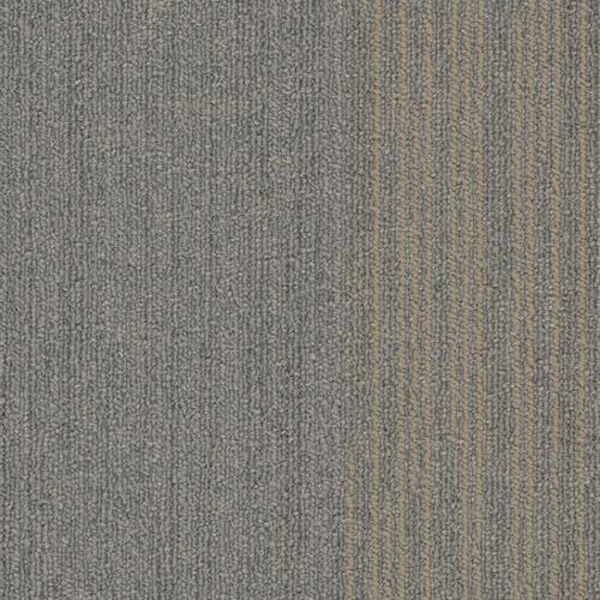 Picture of SFI Floors - Chicago Lincoln Park Zoo