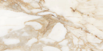 Picture of Milestone - Classica 12 x 24 Calacatta Gold