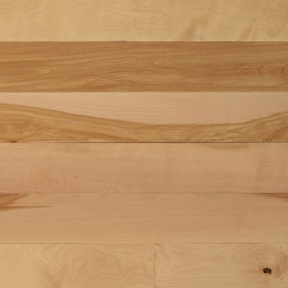 Picture of Appalachian Flooring - Signature Solid 4 1/4 Matte Natural Birch Excel