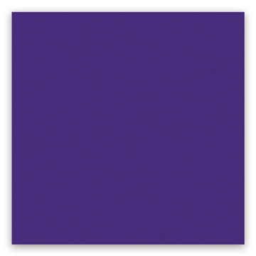 Picture of American Olean - Color Story 3 x 6 Glossy Devotion