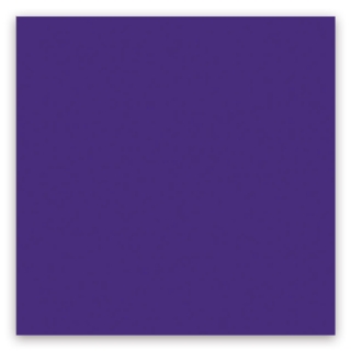 Picture of American Olean - Color Story 8 x 24 Glossy Devotion