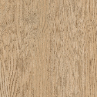 Picture of Gardenia Orchidea - Just Code 10 x 72 Miele