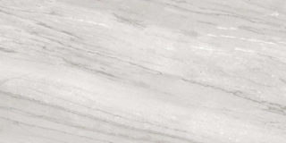 Picture of Milestone - Epic 12 x 24 Polished Alaska Grey