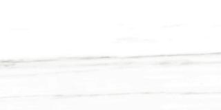 Picture of Milestone - Epic 12 x 24 Polished Dolomite