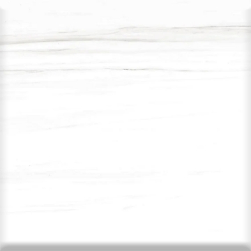 Picture of Milestone - Epic 24 x 24 Polished Dolomite