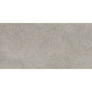 Picture of Tesoro - Shellstone 24 x 48 Grey