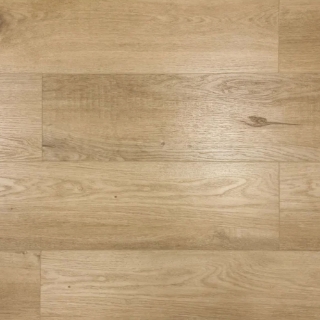 Picture of Montserrat - Paragon Renegade Tan