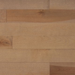 Picture of Appalachian Flooring - Signature Solid 4 1/4 Matte Biscotti Birch Excel