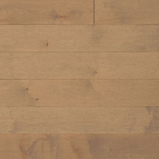 Picture of Appalachian Flooring - Signature Solid 4 1/4 Matte Chardonnay Hard Maple Excel