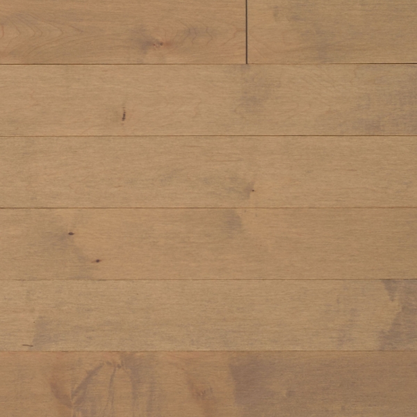 Picture of Appalachian Flooring - Signature Solid 4 1/4 Matte Chardonnay Hard Maple Excel