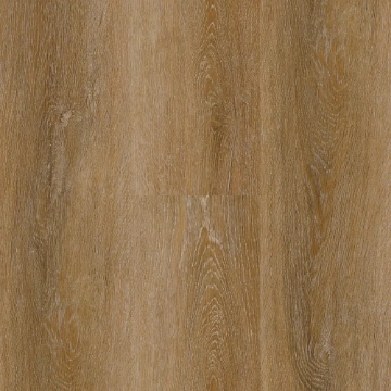 Picture of Matrexx - Miracle Autumn Sunrise