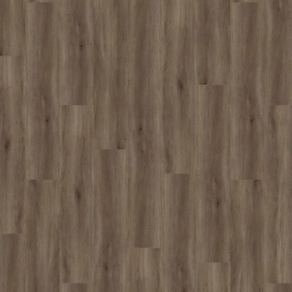 Picture of Palmetto Road - Velocity Tempo