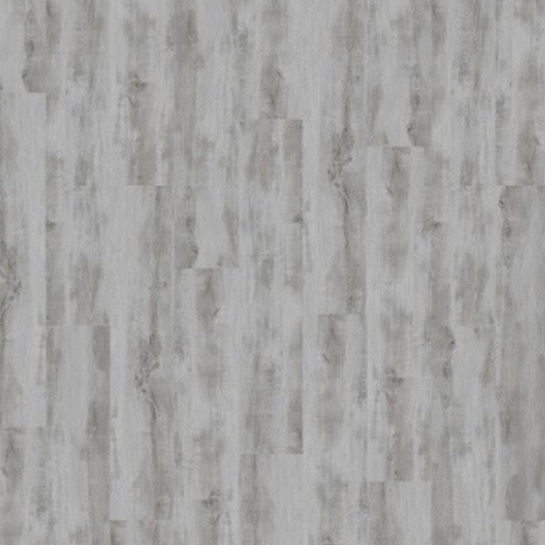 Picture of Palmetto Road - Journey Safari