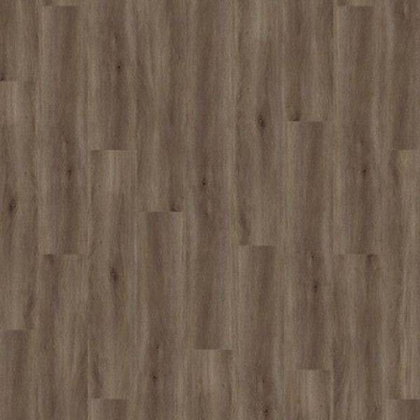 Picture of Palmetto Road - Journey Tempo