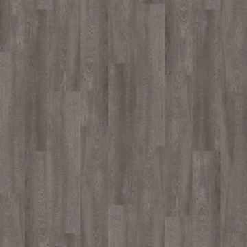 Picture of Palmetto Road - Sojourn Compass