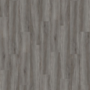 Picture of Palmetto Road - Sojourn Crossing