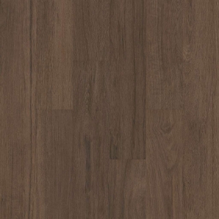 Picture of 5th and Main - Breakers Point SPC T and G Saguaro