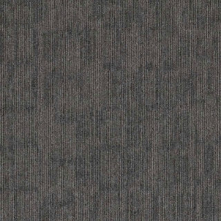 Picture of 5th and Main - Victory Knock Out Champion