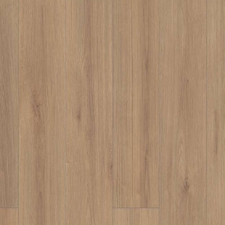 Picture of Shaw Builder - Emergence Plus Dawn