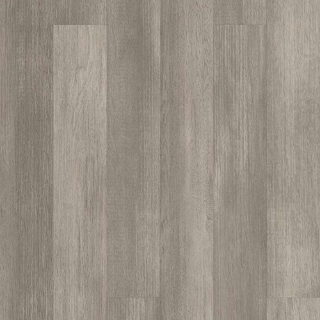 Picture of Shaw Builder - Tri Cities 20 Steel City