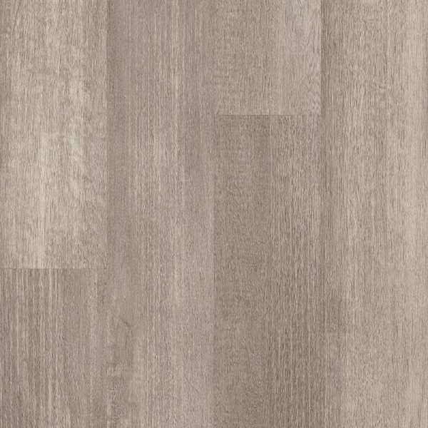 Picture of Shaw Builder - Tri Cities 12 Steel City