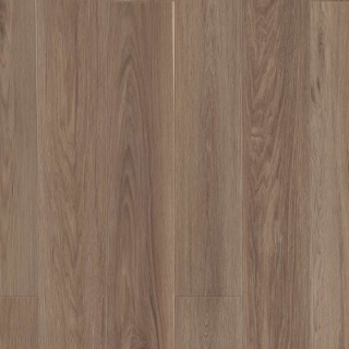 Picture of Shaw Builder - Supino HD Plus Natural Bevel Truffle