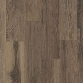 Picture of Philadelphia Commercial by Shaw - Silva Valley 20 Falls Creek