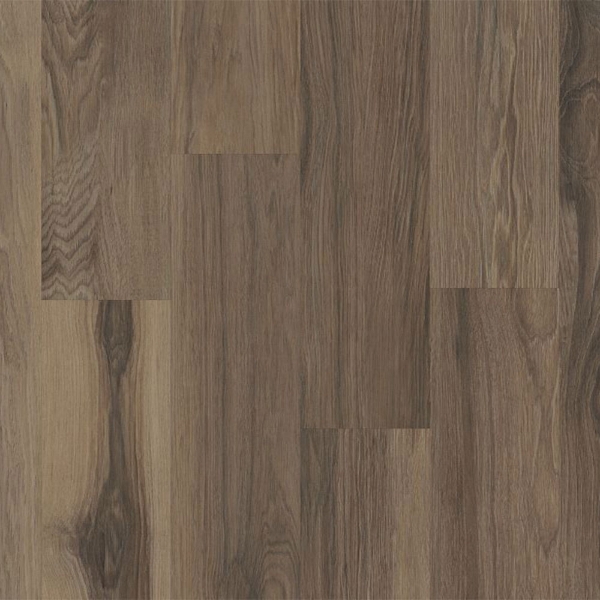 Picture of Philadelphia Commercial by Shaw - Silva Valley 20 Falls Creek