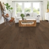 Picture of Shaw Floors - Sanctuary Hickory Tranquility