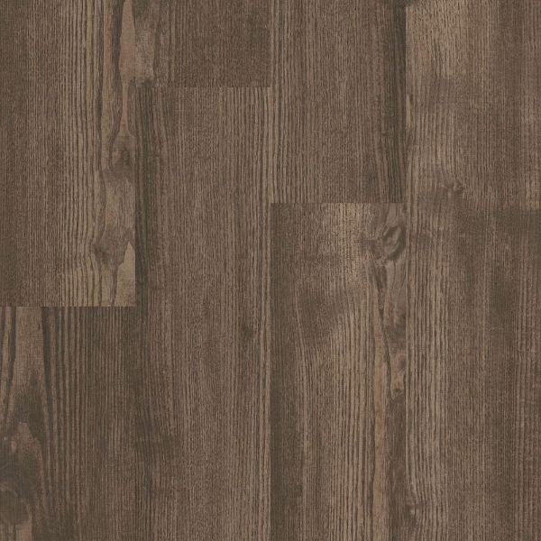 Picture of 5th and Main - Symbiotic 5.0 Sweetgum