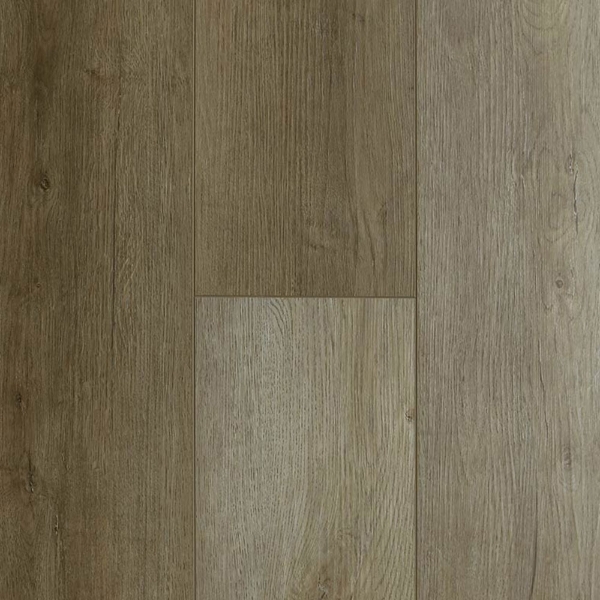 Picture of Audacity - Liberty Sedona