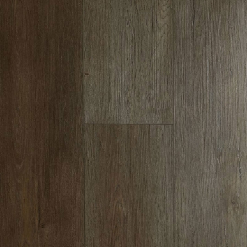 Picture of Audacity - Liberty Shasta