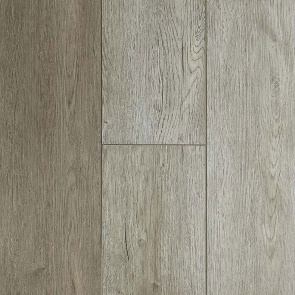 Picture of Audacity - Liberty Wichita