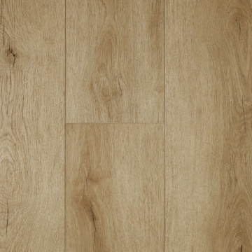 Picture of Audacity - Liberty Caldwell