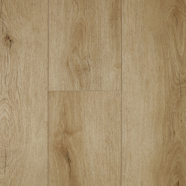 Picture of Audacity - Liberty Caldwell