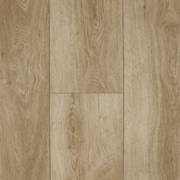 Picture of Audacity - Liberty Sandpoint