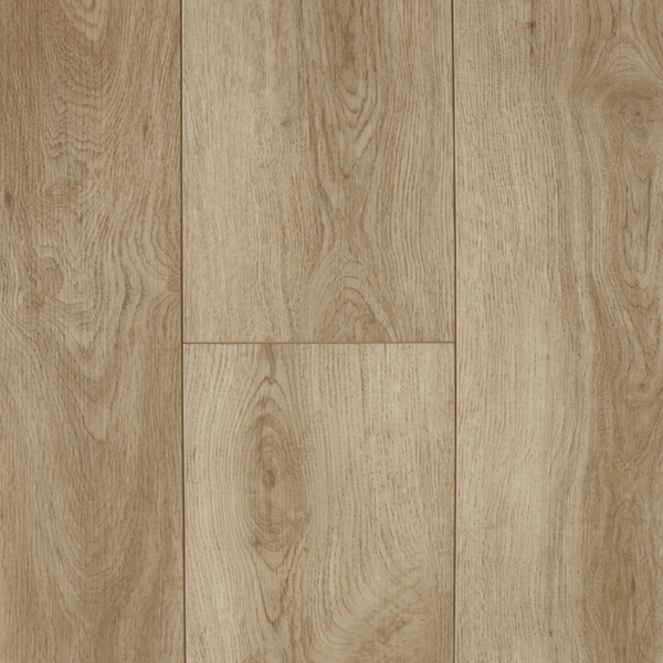 Picture of Audacity - Liberty Sandpoint